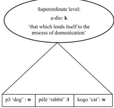 Diagram 7: The superordinate status of the classifier k. 