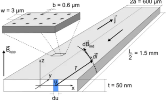 FIG. 1. Sketch of the nanostructured thin superconducting Pb ﬁlm of thickness t = 50 nm