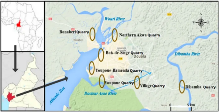 Figure 1. Geographic map showing sample sites. The seven quarries that form the focus of this study are the Bois-de-Singe, Bona- Bona-beri Bonamikano, Dibamba, Northern Akwa, Youpoue, Youpoue-Bamenda, and Village quarries, all of which are close to the Atl