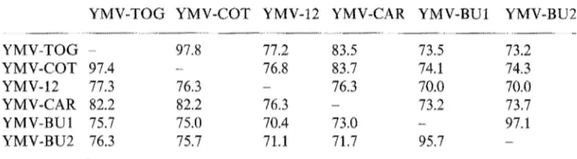 Table 1.  Sequence identity (in percent) between the N-terminal part of the coat protein of the  six YMV isolates 