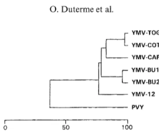 Fig. 4.  Dendrogram built from the  amino acid sequence alignment presented in  Fig. 3