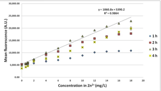 Figure 2. Fluorescence of the strain E. coli pP ZntA gfp induced by different Zn 2+