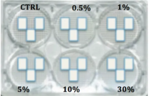 Figure 15 : Disposition des lamelles dans les plaques à six puits 