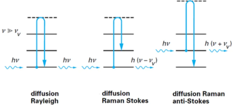 Figure III-2: Interaction entre un photon et la matière caractérisée par des niveaux d’énergie  vibrationnelle 6