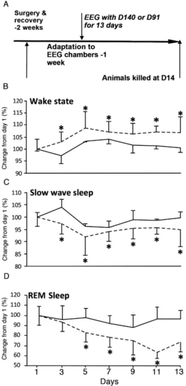 Fig. 4. Effects of D140 and D91 on EEG parameters of sleep of naïve mice. (A) Schematic timeline of the EEG experiment