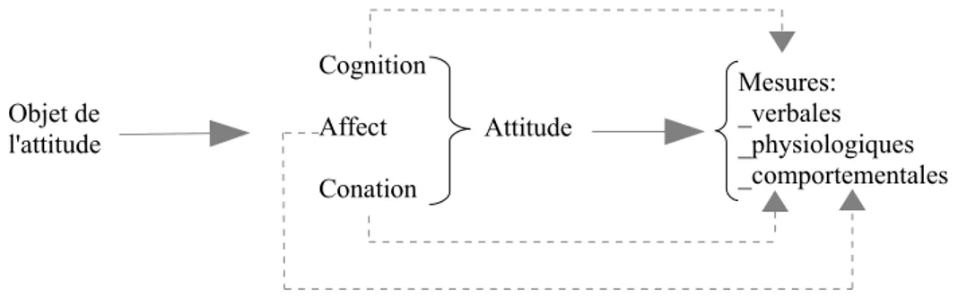 Fig. 1. Schéma structurel des attitudes. Source: Vallerand et al., 2006, p244.