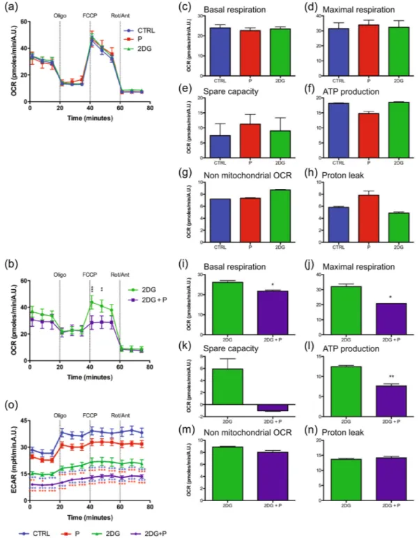 Figure 7.  2DG combined with propranolol decreases mitochondrial respiration. PC3 cells were treated with  2DG (2DG) (10 mM), propranolol (P) (100  µ M) or both for 24 h