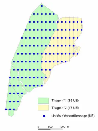 Figure 1. - Exemple de grille d’échantillonnage définie pour  une zone d’étude correspondant à une série d’une  conte-nance d’environ 1200 ha, répartie sur 2 triages