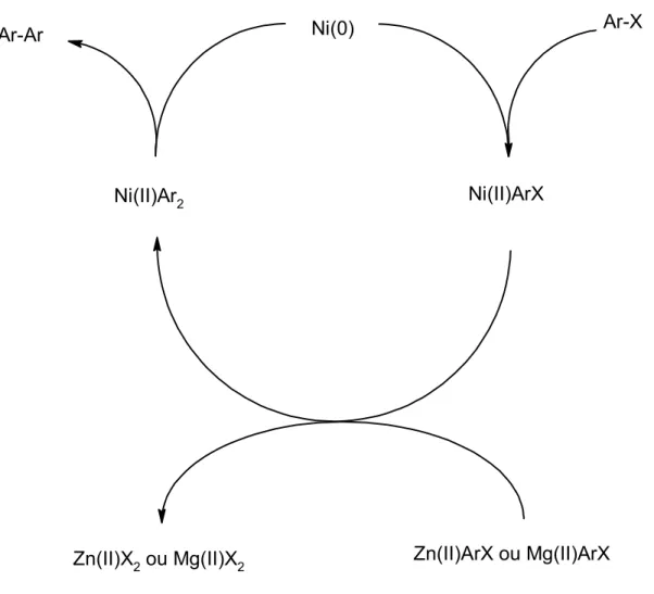 Figure 2.7 Mécanisme des couplages de Kumada [28]  et Negishi [29]