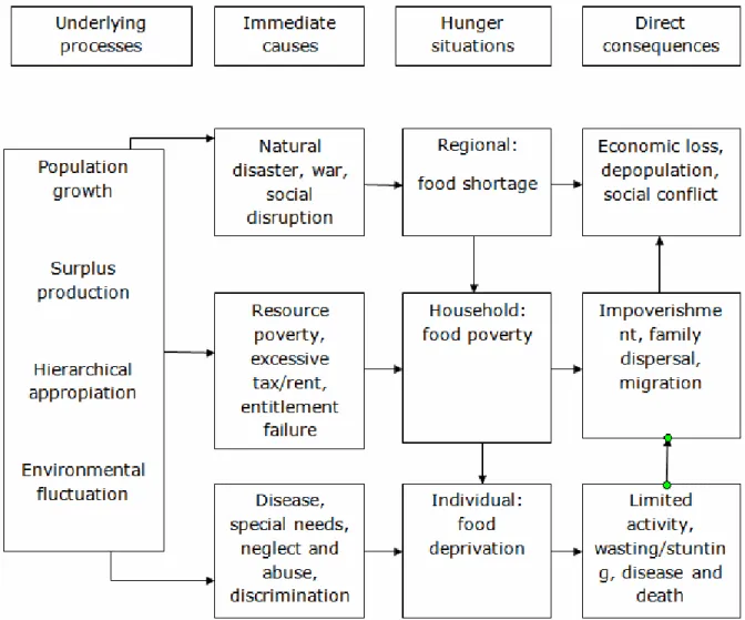 Figure 1. A causal structure of hunger (source: Newman et al 1990). 