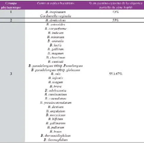 Tableau III : approche phylogénétique pour l’analyse du genre Bifidobacterium sur base de la séquence partielle du gène 16SrDNA (Miyake et al., 1998).