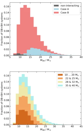 Fig. 4. Top: Distribution of the expected BH / OB-star mass ra- ra-tios of systems in our binary evolution model grid that reach the OB + BH stage, weighted with the IMF and the initial binary  pa-rameter distribution functions, and with their lifetime as 