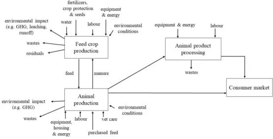 Figure 1-1. Diagram of a specialized dairy farming system (based on Heinemann, 2009). 