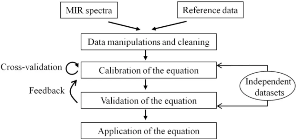 Figure 1-3. Usual steps in the development of a MIR prediction equation. 