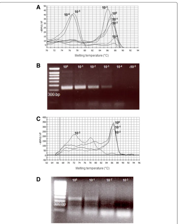 Figure 3 Detection limit of the SYBR Green real-time RT-PCR (A, C) in comparison with those of conventional RT-PCR (B, D)