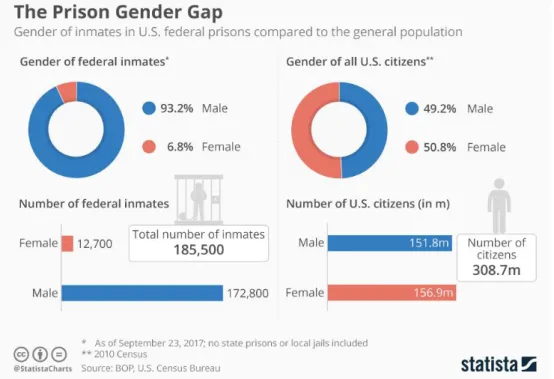 Figure 6 : L’écart entre les sexes dans les prisons fédérales en 2017 21