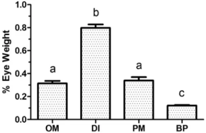 Fig. 3. % eye weight of Dicrolene intronigra (DI), Porogadus miles (PM) and Bathyonus pectoralis (BP) compared to the estuarine and shallow-ocean Ophidum marginatum (OM).