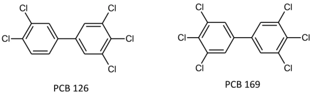 Figure I.4: Examples of planar structure of the two most toxic dioxin-like PCBs. 