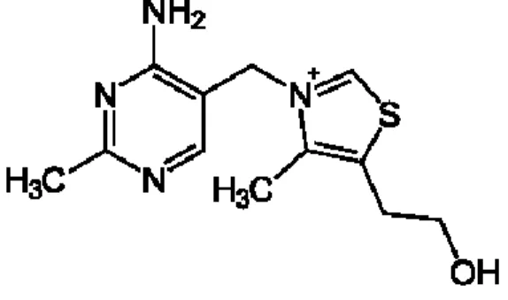 Figure 1.1 : Structure chimique de la thiamine (Royal Society of Chemistry, 2013) 
