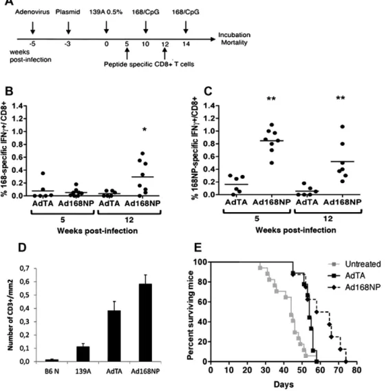 Fig. 6. Effect of additional peptide boosts to mice immunized with Ad168NP or control AdTA on speciﬁc CD8 + T-cell responses and murine scrapie
