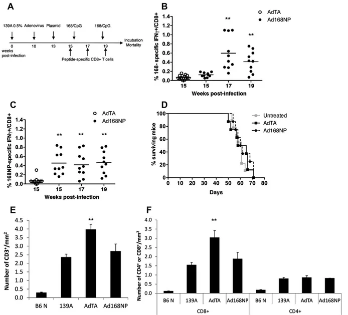 Fig. 7C). Importantly, the intensity of the response to the peptide 168 was similar or exceeded that of 168NP, indicating that  injec-tions of the native peptide elicited the expansion of speciﬁc CD8 + T cells