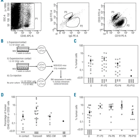 Figure 4. Human repopu- repopu-lating cells in NOD/SCID mice. (A) Representative flow cytometric analysis of recipient mice bone  mar-row mononuclear cells