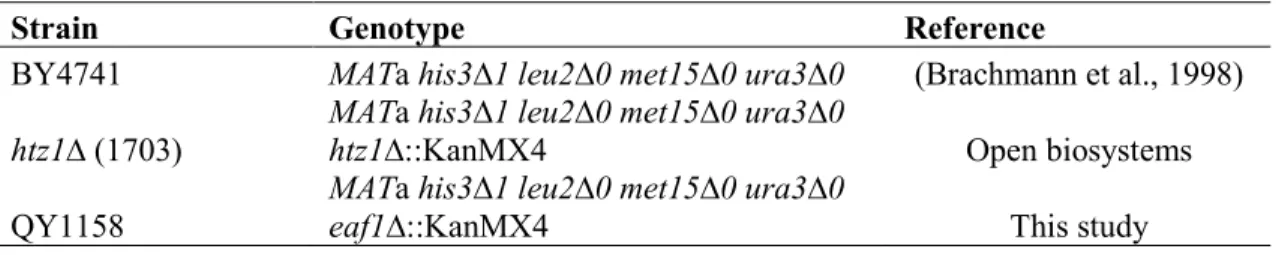 Table 3 - Strains Used In This Study. 