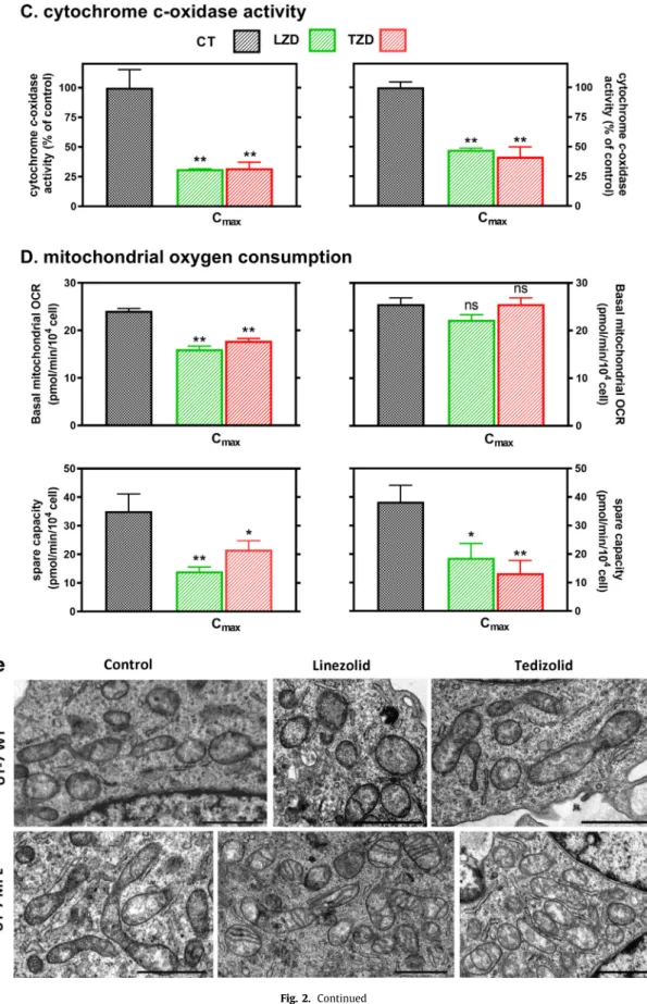Fig.  2. Continued 
