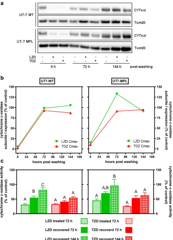 Fig. 3. Effect of oxazolidinones on CYTox I expression and cytochrome c  -oxidase activity after drug removal