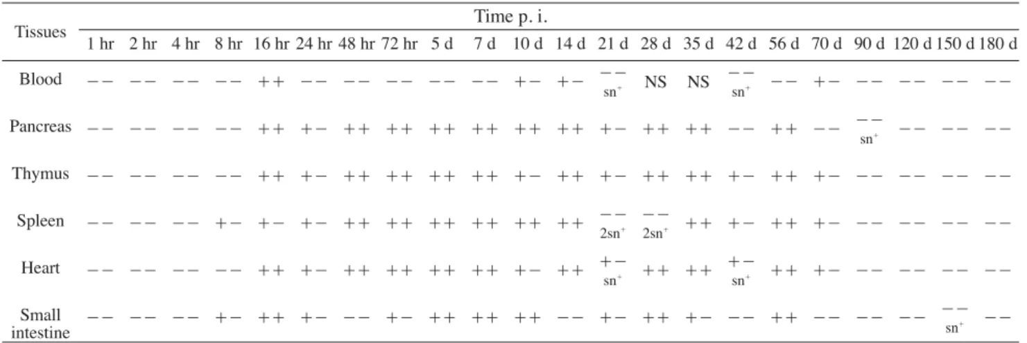 Table 1. RT-PCR (and sn-RT-PCR) results on sampled tissues from CVB4 E2 orally-infected Swiss mice Time p