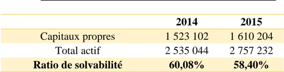 Tableau N°2 : Analyse de la solvabilité (en euros) : 