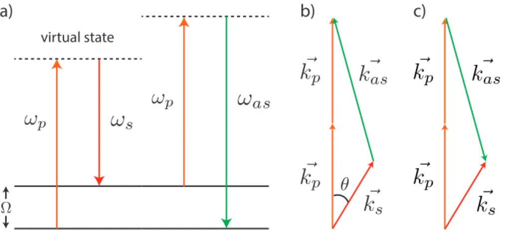 Figure 1.2 – a) CARS energy diagram. The anti-Stokes signal (ω as ) is generated by the non- non-linear interaction of a pump (ω p ) and a Stokes (ω s ) field with a Raman active molecular  vi-bration (Ω)