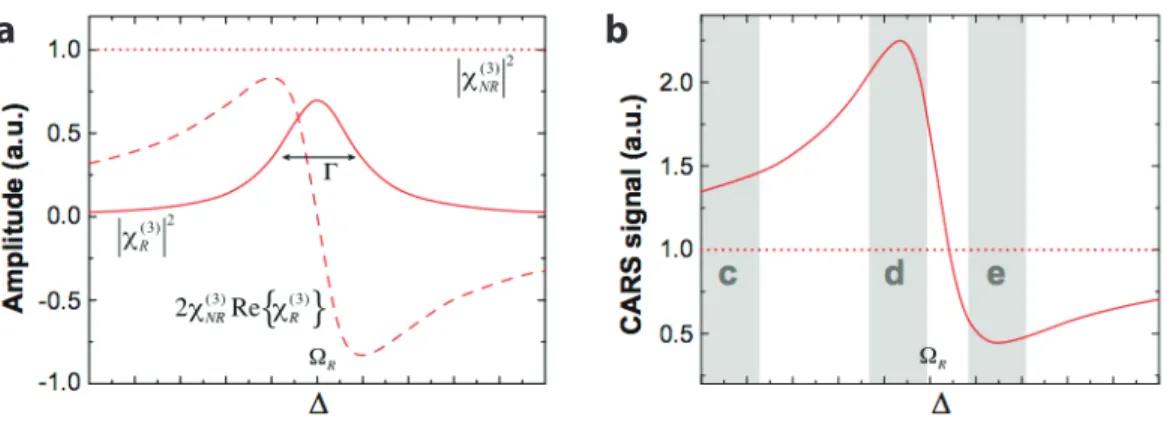 Figure 1.3 – a) Three contribution from the | χ ( 3 ) | 2 to the CARS signal as a function of the detuning parameter ∆