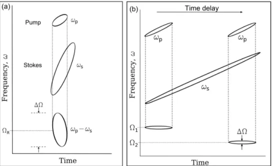 Figure 1.8 – CARS spectral imaging with spectral focusing. In this time-frequency plot, the pump and Stokes pulses are shown as ellipses and the spectral resolution of the CARS  pro-cess ∆Ω is determined by the total height of the ellipse ω p − ω s 