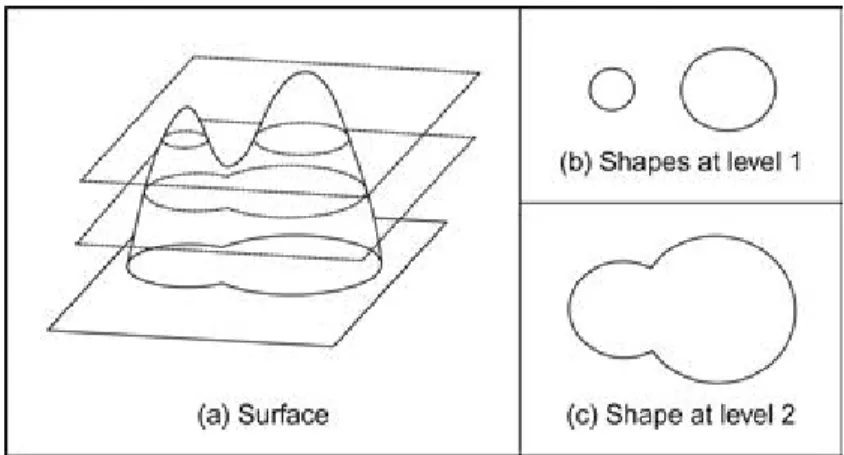 Figure 1.13 – a) The contour evolution is handled by slicing a surface at different levels