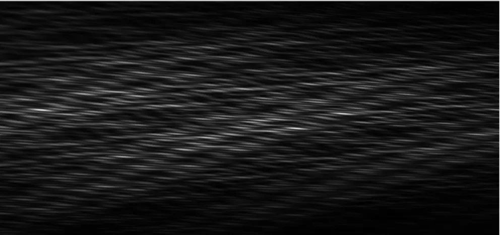 Figure 4. Interferogram with a He-Ne laser source. Because of the anamorphic optics, the horizontal size of the PSF is 20 times larger  than the vertical