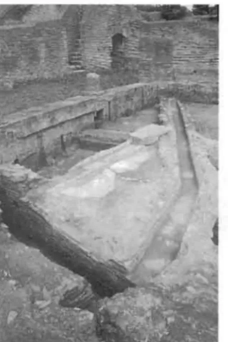 Fig,  4 - Os tie,  Schola  du  Traja n:  le  réseau  de  canalisati o n  de  la  Schola  du  Trajan  lors  d es  fouilles  d e  1998  (photo  A,  De  Mini cis)
