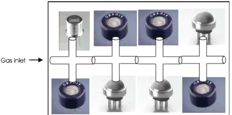 Figure 5 : The array of 8-TGS sensors and the fittings used for gas flow The electronic board and gas flow fittings are integrated in a Perspex box, as shown in photo 2.