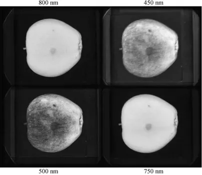 Fig. 2. Example of a multi-spectral image of a hail damage (in the centre of the view).