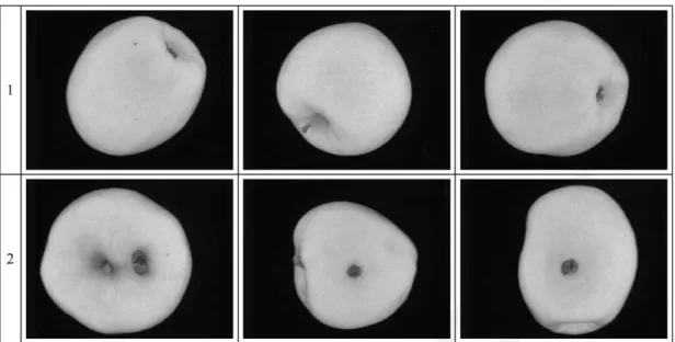 Fig. 5. Examples of errors made with the correlation pattern matching method (800 nm spectral band)