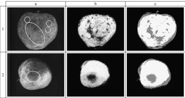 Fig. 6. Examples of defective fruits correctly classiﬁed into the defective class. (1) Russet
