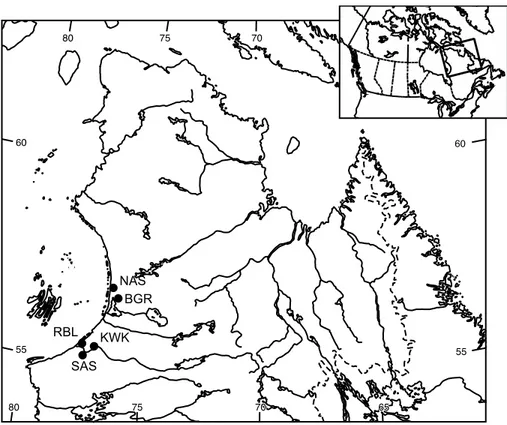 Figure 2.1 Map of the study area, eastern Hudson Bay. 