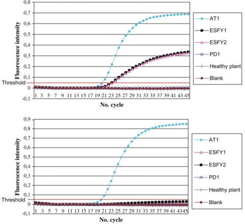 Figure 1 Fluorescent intensity (delta Rn) of amplification of different phytoplasma isolates, ‘Ca
