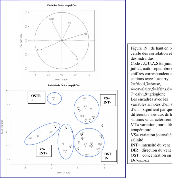 Figure 19 : de haut en bas ;  cercle des corrélation et plan  des individus 