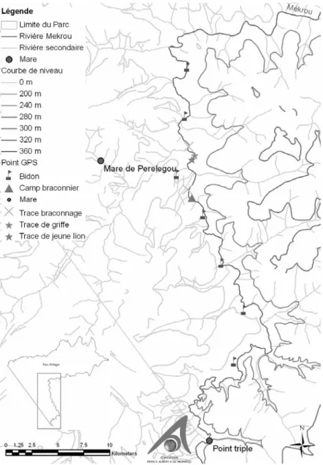 Figure 5 - Empreinte de civette Civettictis civetta