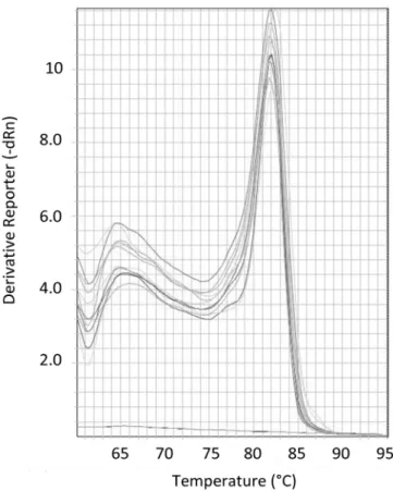 Fig. 2. Optimization of the F-PLMVd/R7-PLMVd primer pair concentration in the real-time quantitative polymerase chain reaction (qPCR)