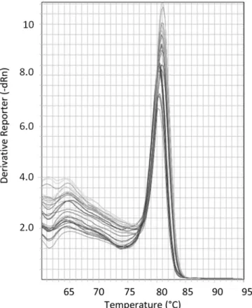 Fig. 6. Melting curve analysis of the amplicon generated with the standard. The x- x-axis indicates temperature and the y-x-axis the negative first derivative of the normalized fluorescence generated by the reporter during polymerase chain reaction (PCR) a