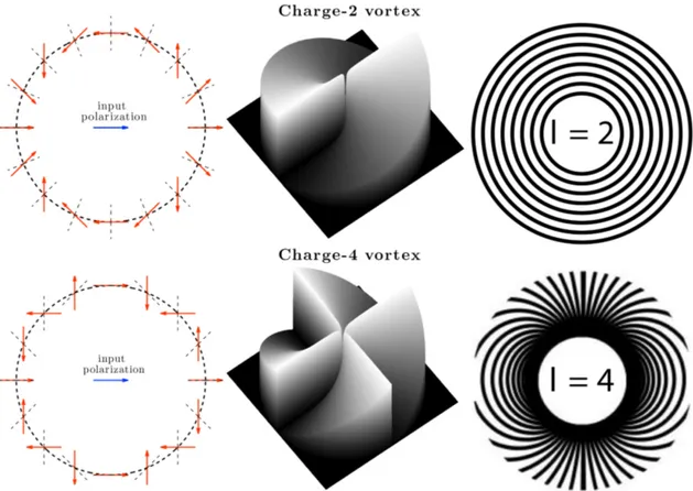 Figure 2. Working principle of a vector vortex coronagraph (VVC) of topological charge l=2 (top) and l=4 (bottom)