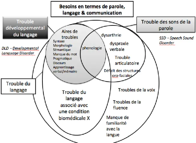 Figure 2. Diagramme illustrant les relations entre les différents termes diagnostiques