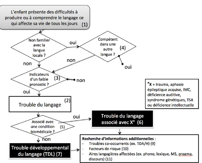 Figure 1. Schéma de diagnostic pour les troubles du langage. Les chiffres entre parenthèses font référence  aux affirmations reprises en gras dans le texte